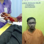 InShot_20240307_174540165