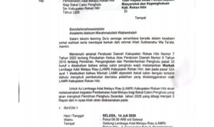 IMG-20260821-WA0004(1)